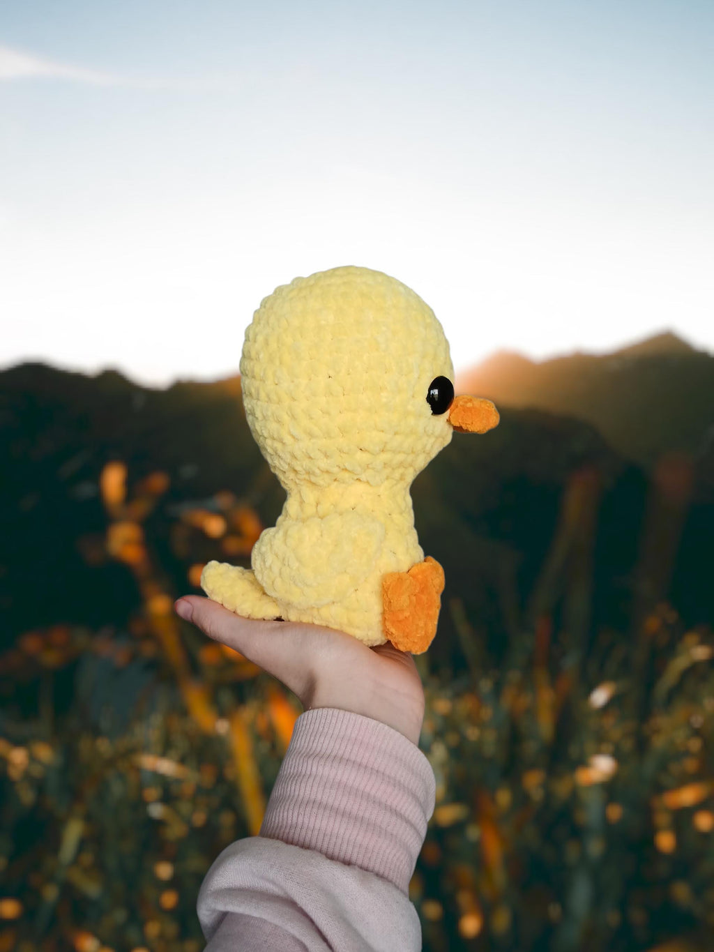 Crochet Duck