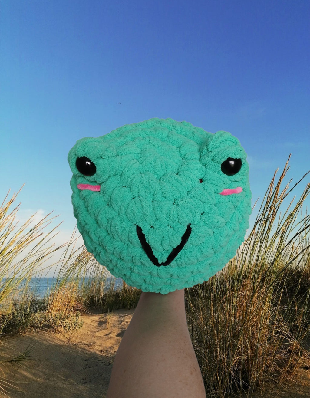 Crochet Chubby Frog Buddy | Derpy Frog
