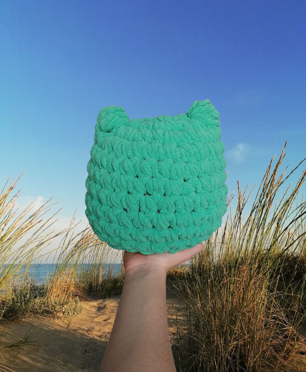 Crochet Chubby Frog Buddy | Derpy Frog