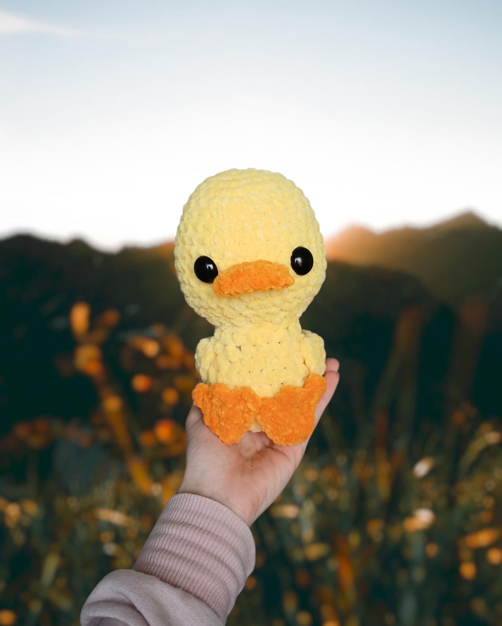 Crochet Duck