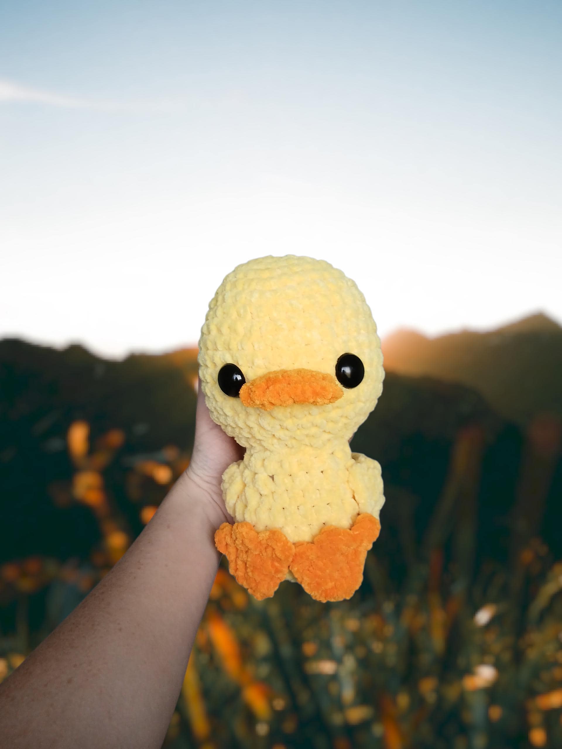 Crochet Duck