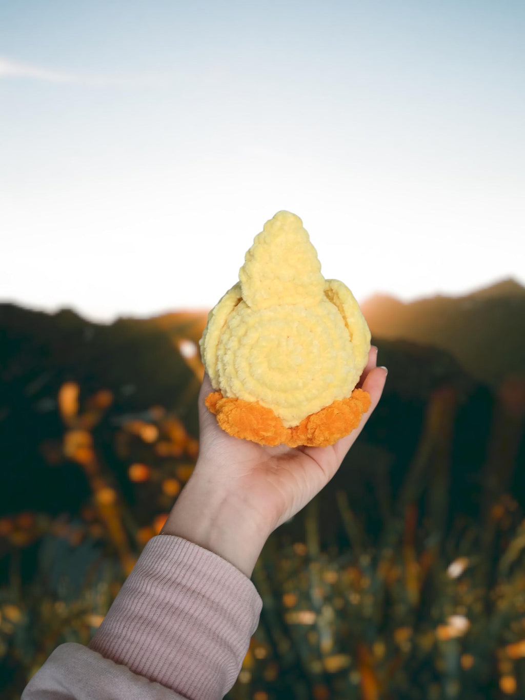 Crochet Duck