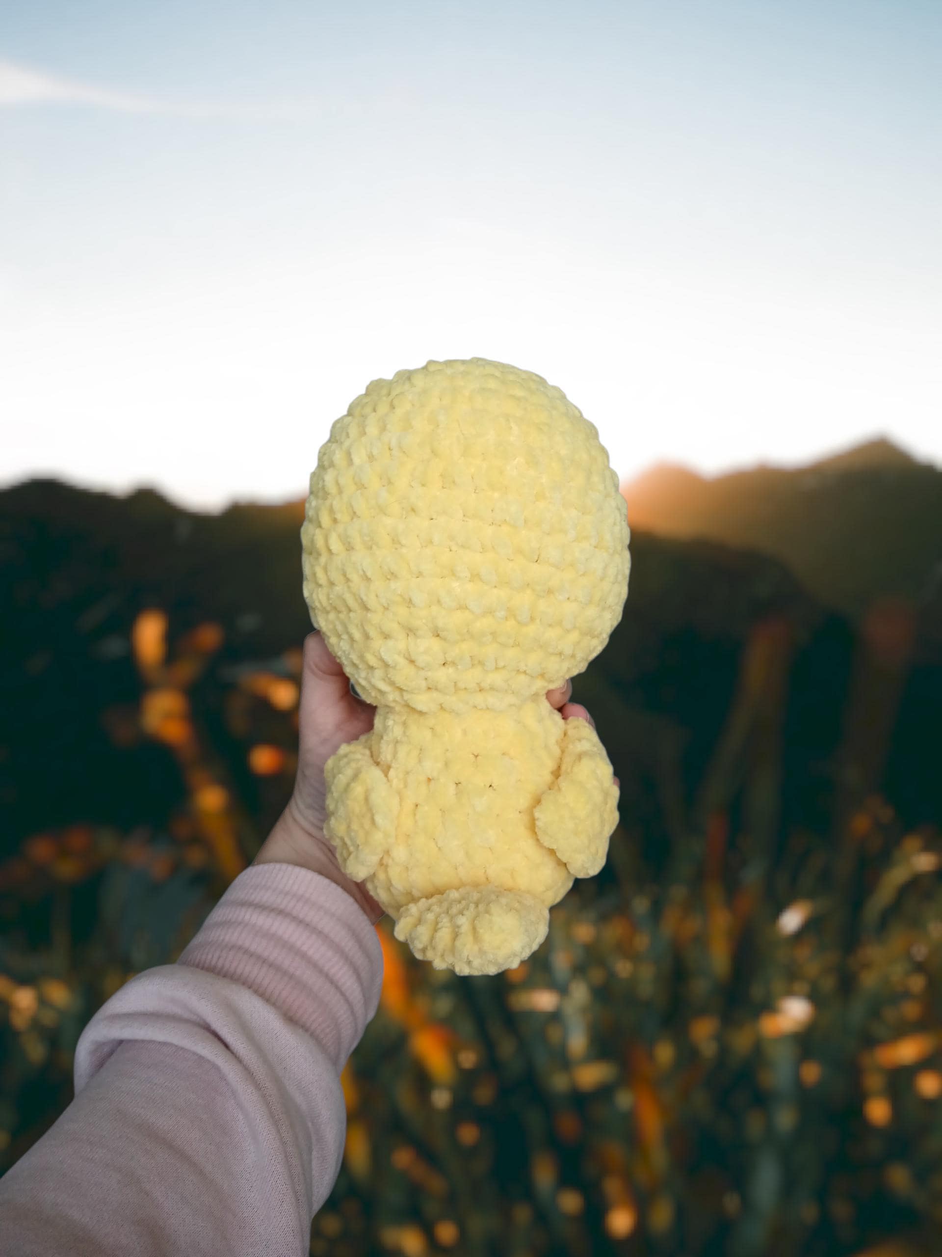 Crochet Duck