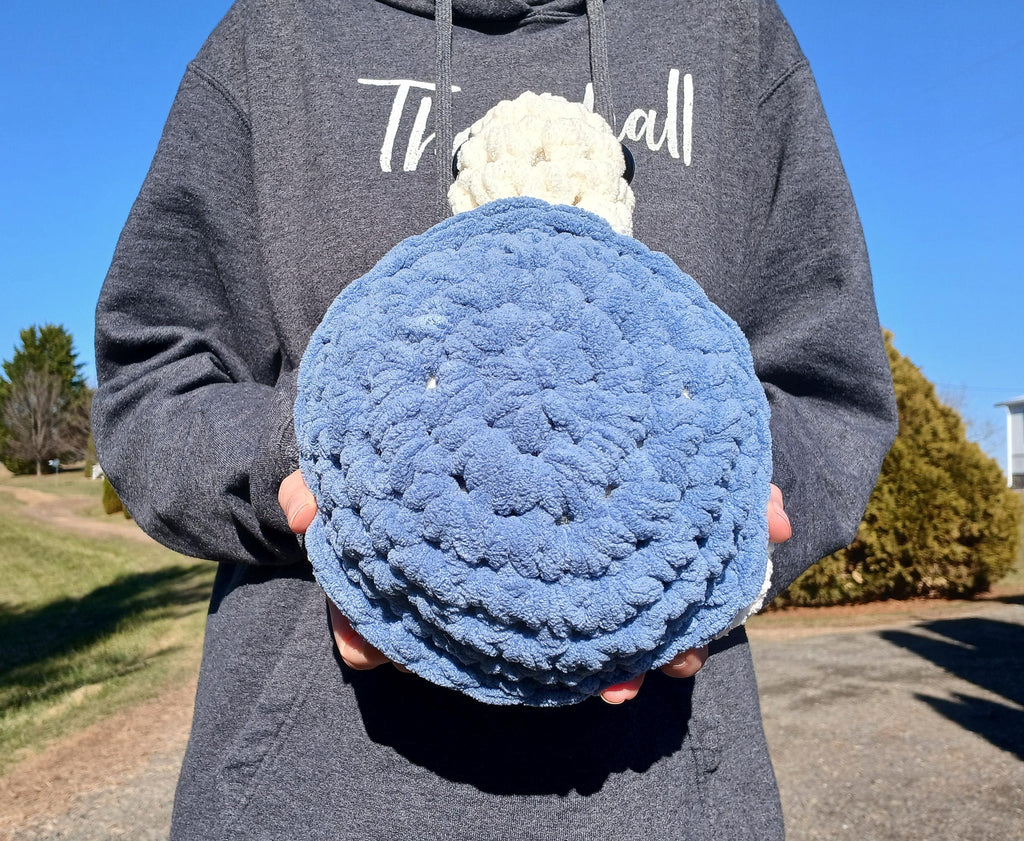 Crochet Turtle Plushie