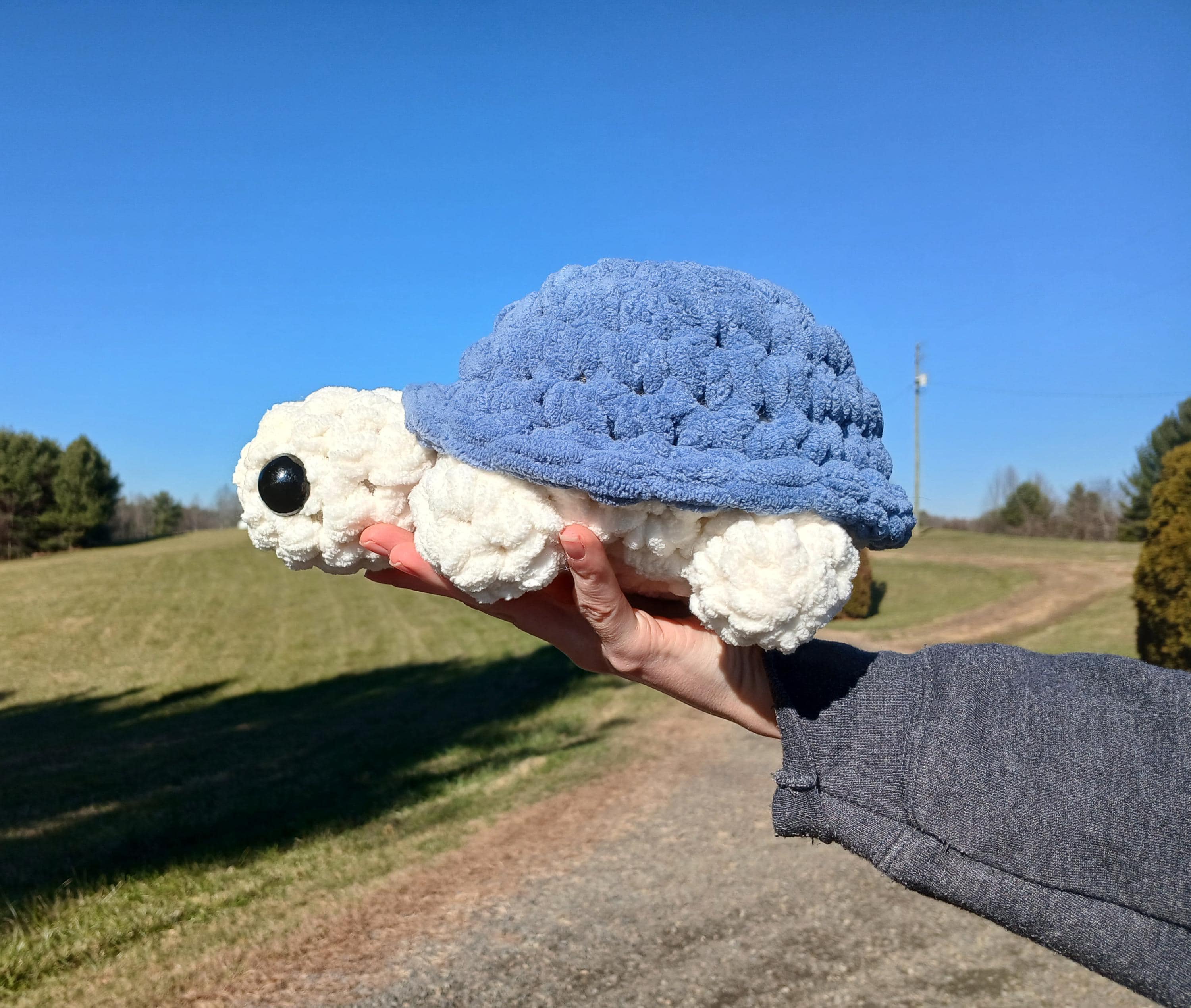Crochet Turtle Plushie
