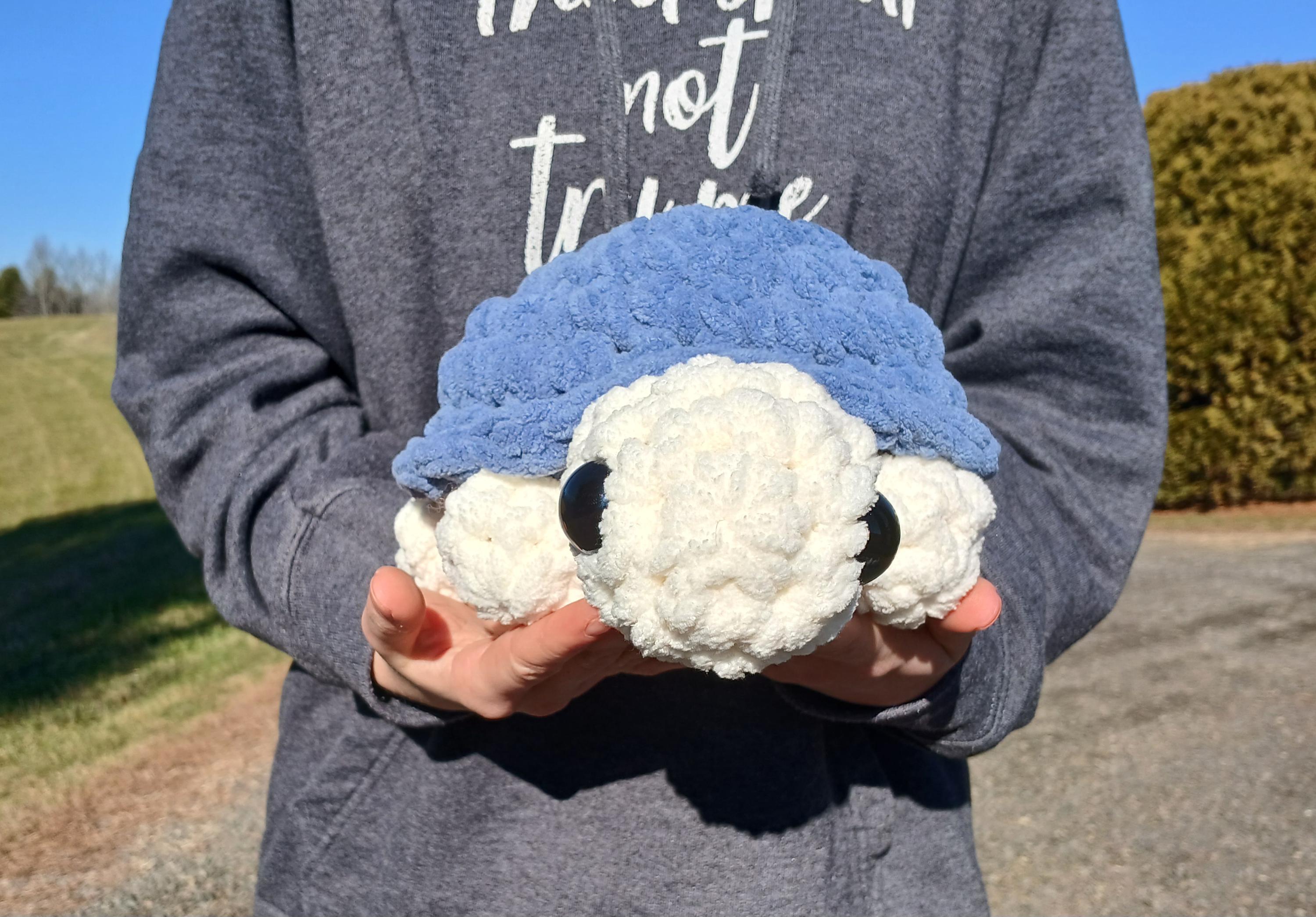 Crochet Turtle Plushie