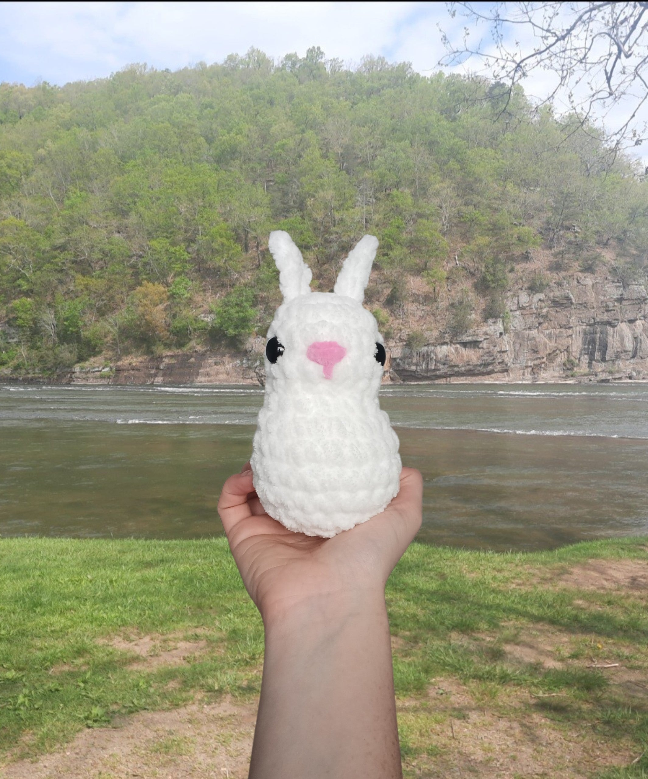 Crochet Bunny | Crochet Rabbit