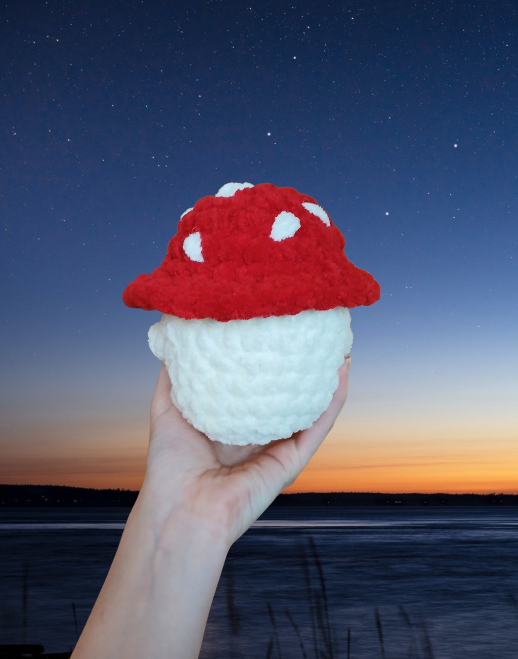 Crochet Mushroom Guy